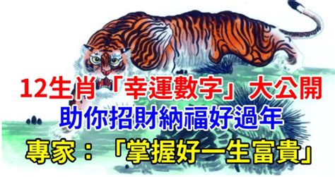 屬豬幸運數字|12生肖「幸運數字」曝光！專家：掌握好一生富貴